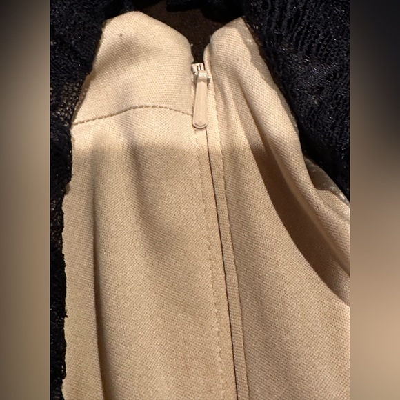 Tadashi Shoji Mermaid Delicate All Lace Gown SZ 4 Black Lace Beige Line … - Picture 10 of 16